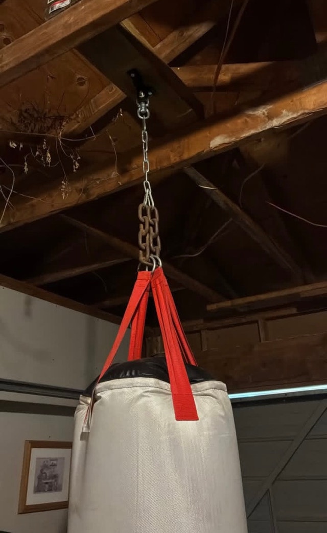 UCF Punching Bag - photo 2
