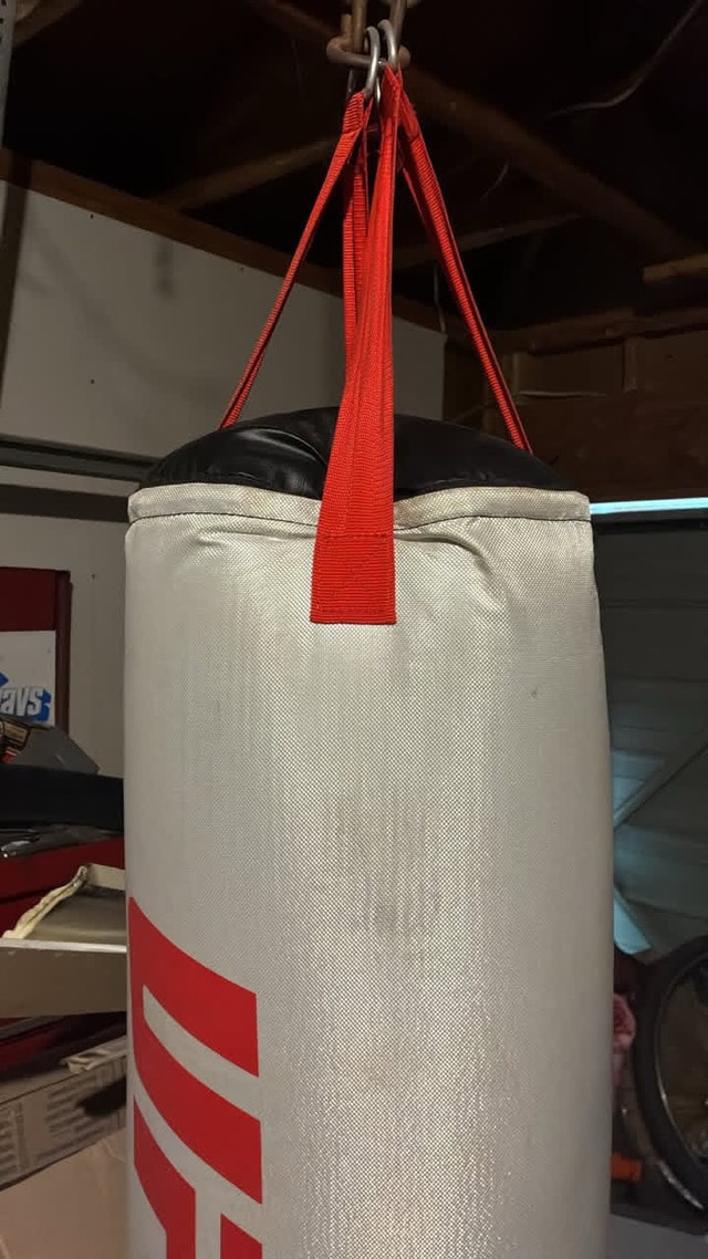 UCF Punching Bag - photo 3