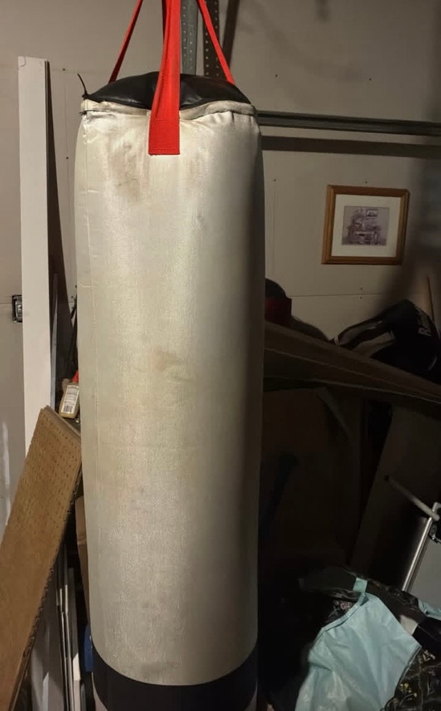 UCF Punching Bag - photo 4