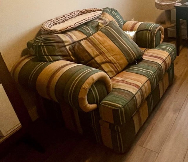 FREE! Matching Sofa, Loveseat, & Armchair Set - photo 3