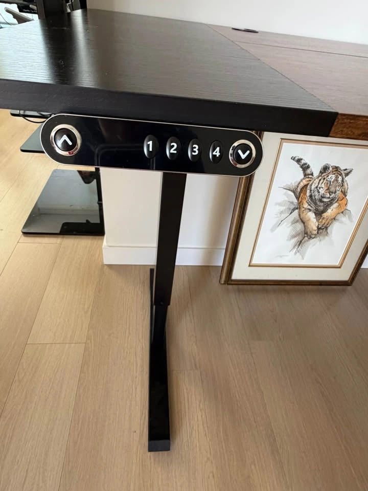 Electric Standing Desk 63” Sit Stand Adjustable Height Desk - photo 4