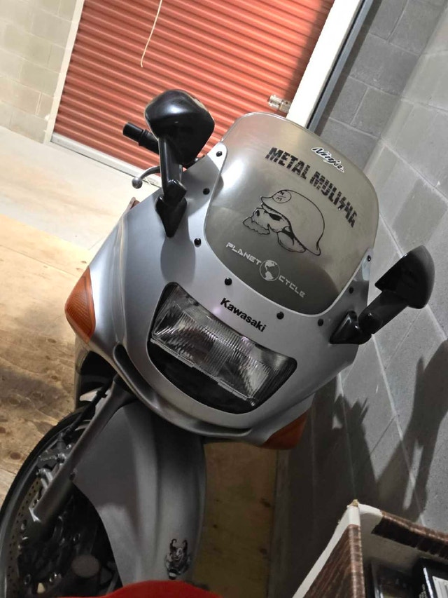 Ninja Kawasaki 600 ZZR - photo 2