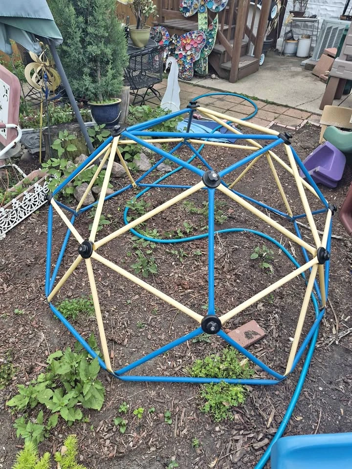 Hapsor yellow and blue geometric dome climber