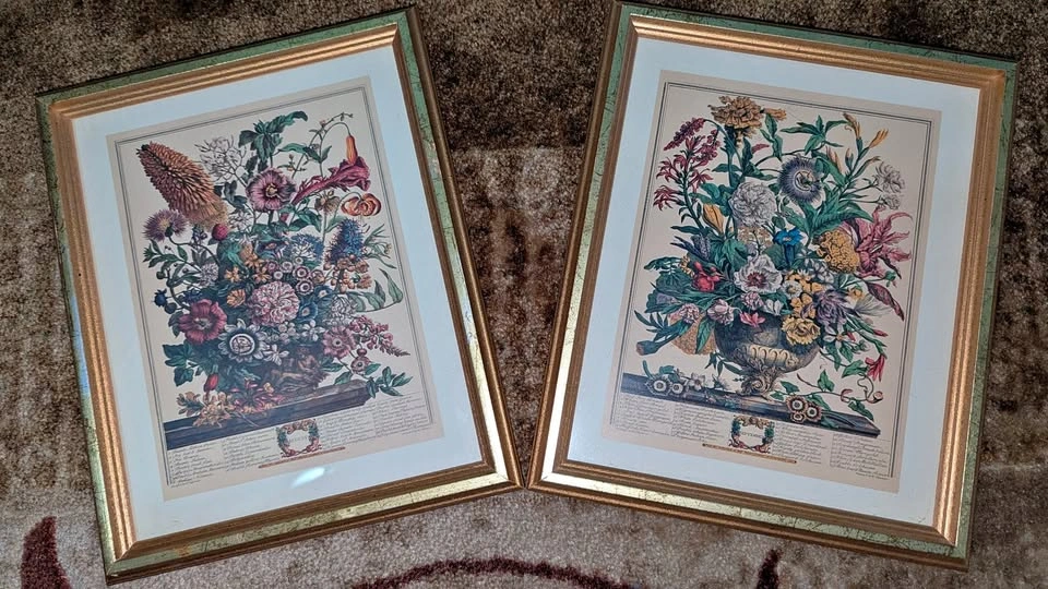 John Bowle's Art Prints