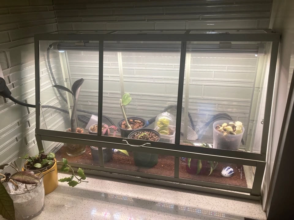 FloraNurse G2 40W grow light + hardware to hang + timer - photo 5