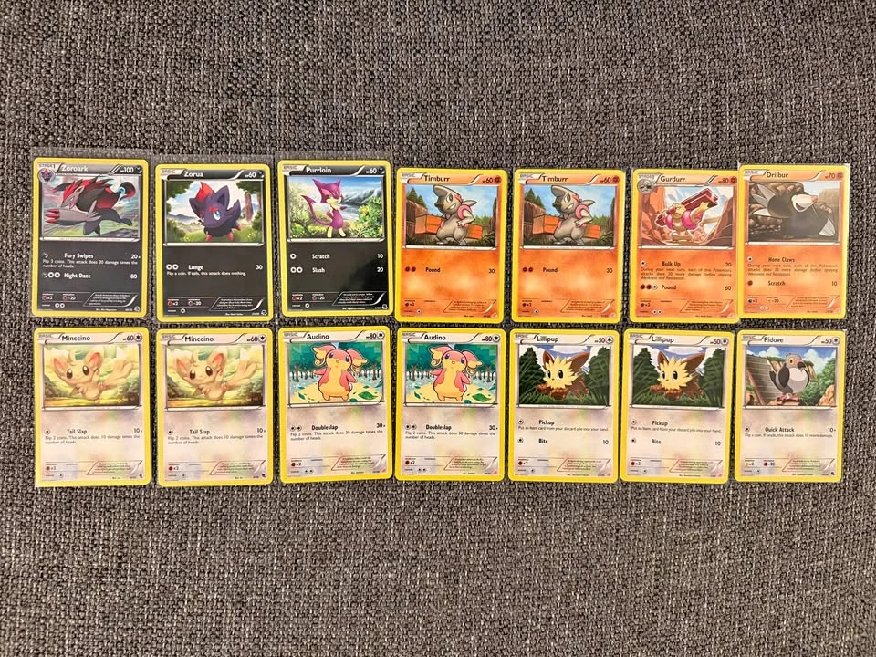 Pokemon BW Trainer Kit Collection