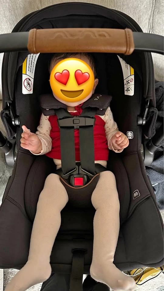 Nuna PIPA Lite RX Infant Car Seat (Used 3x Only)