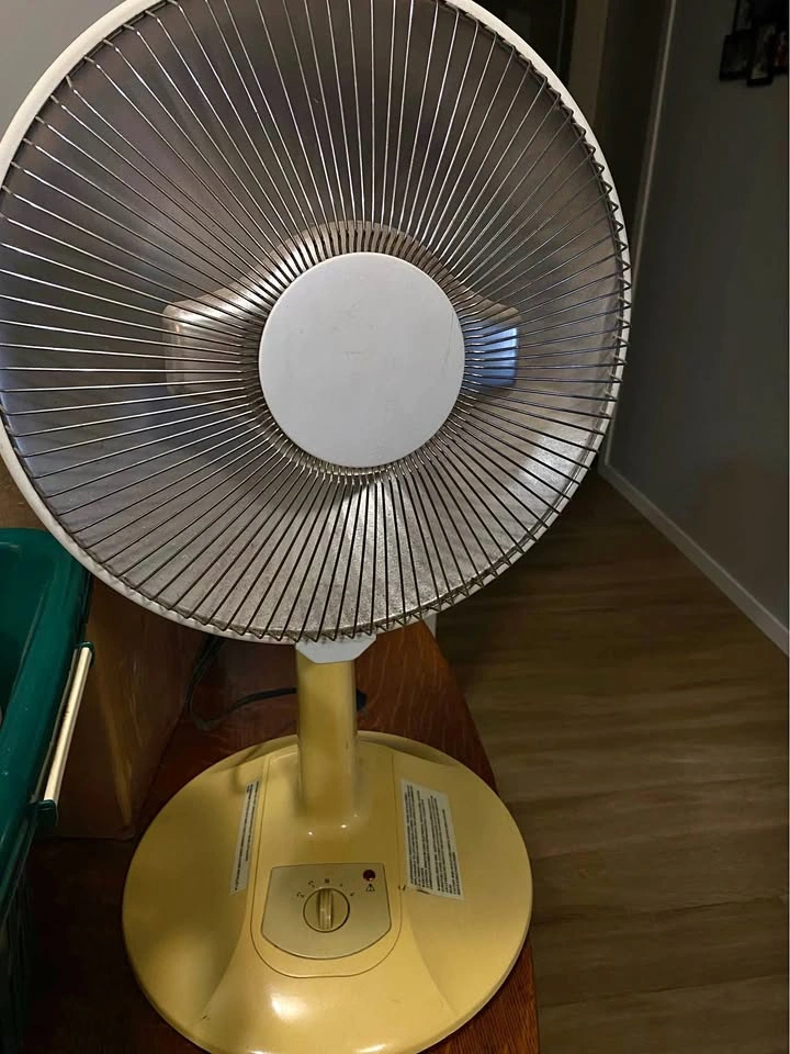 portable parabolic heater
