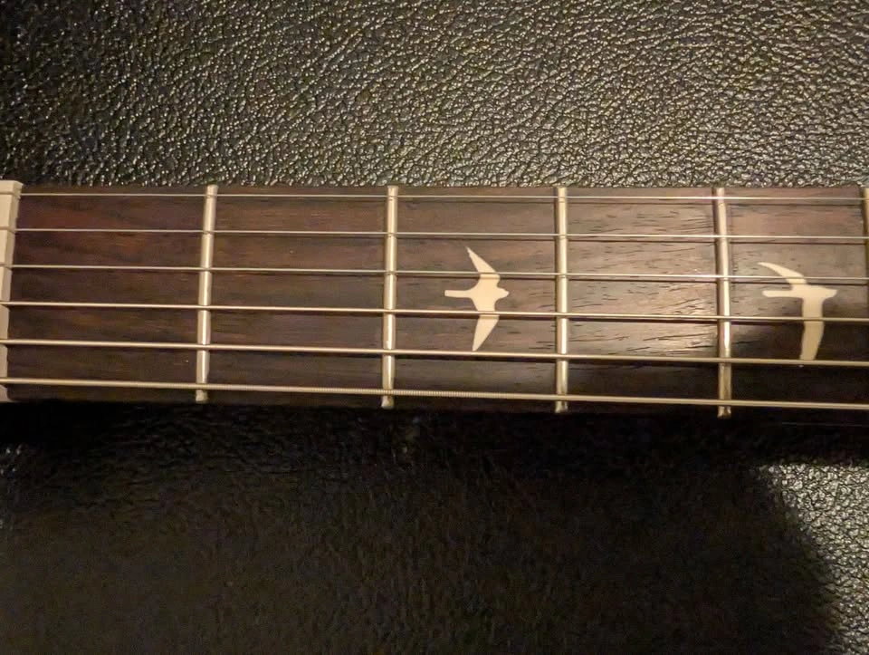 PRS SE SilverSky JM + locking tuners sealed - photo 3
