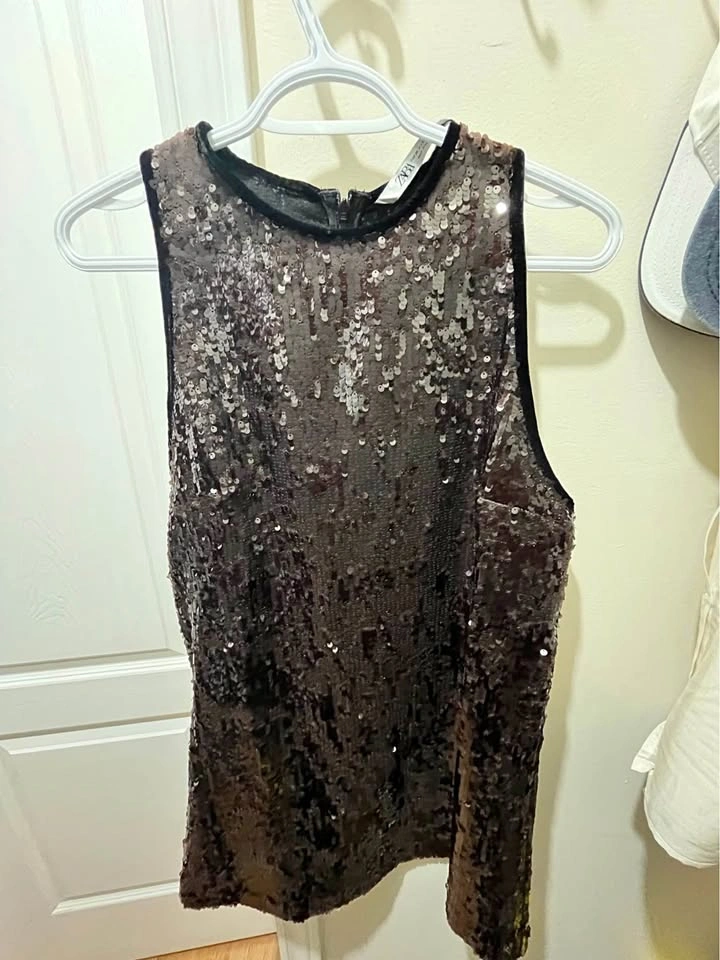Zara Sequin Dress