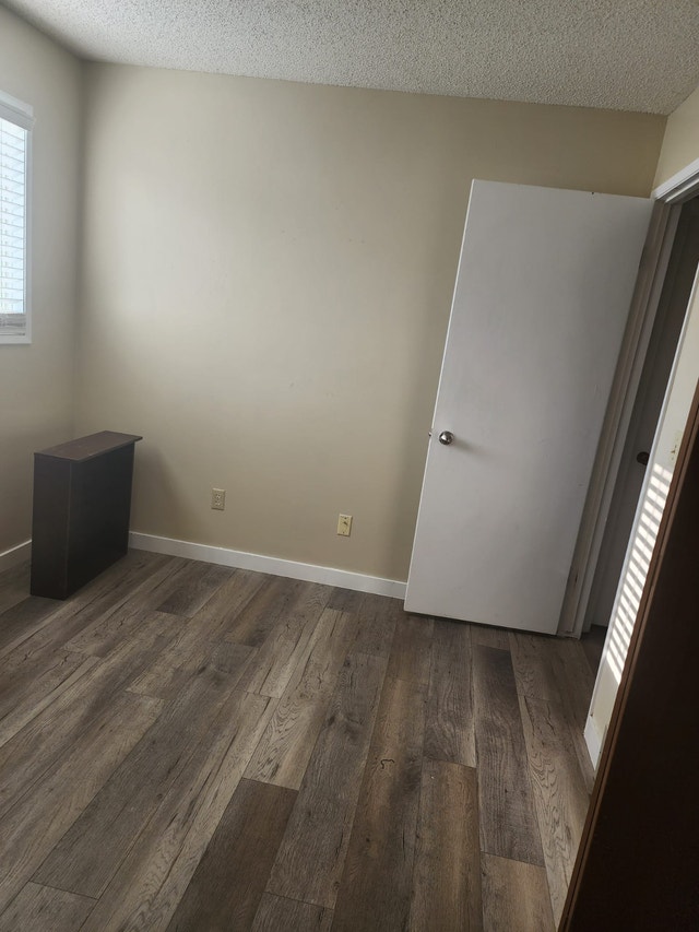 Room for rent in the South West - photo 4