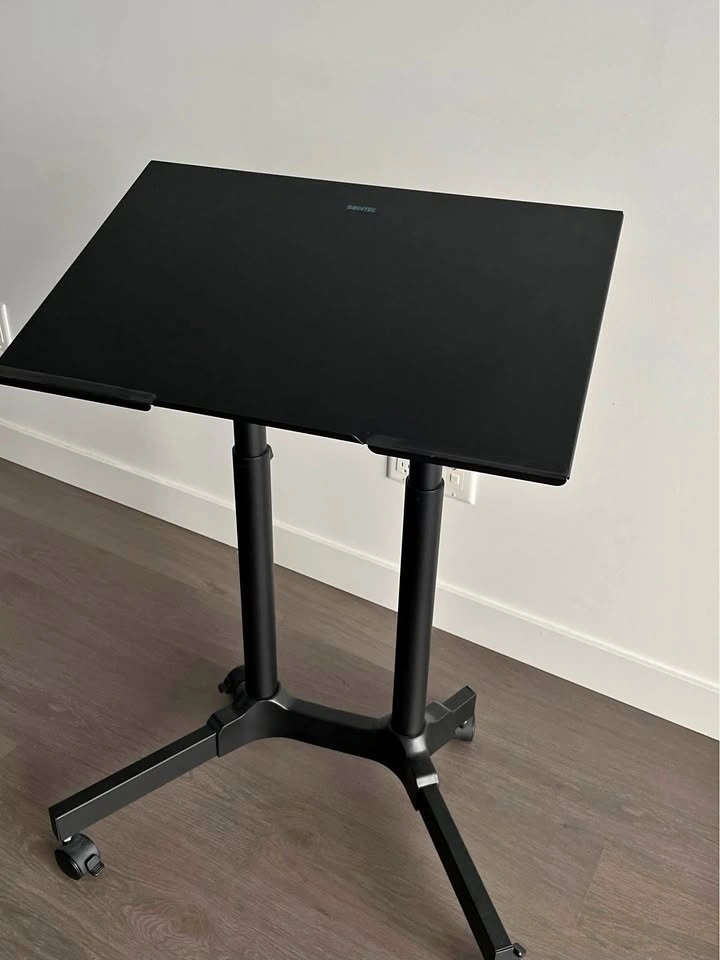 Steel Frame Standing Desk - Height Adjustable, Rolling