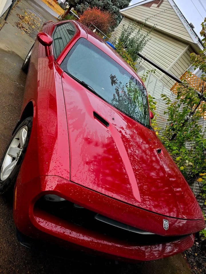 2010 Dodge Challenger - photo 2