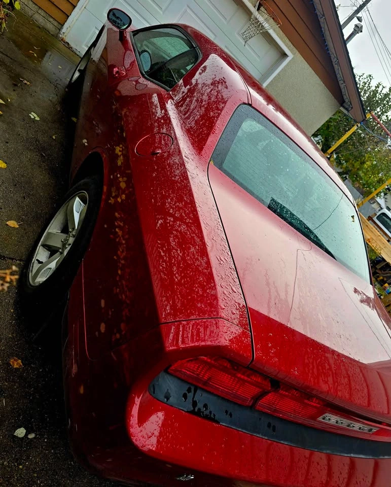 2010 Dodge Challenger - photo 5