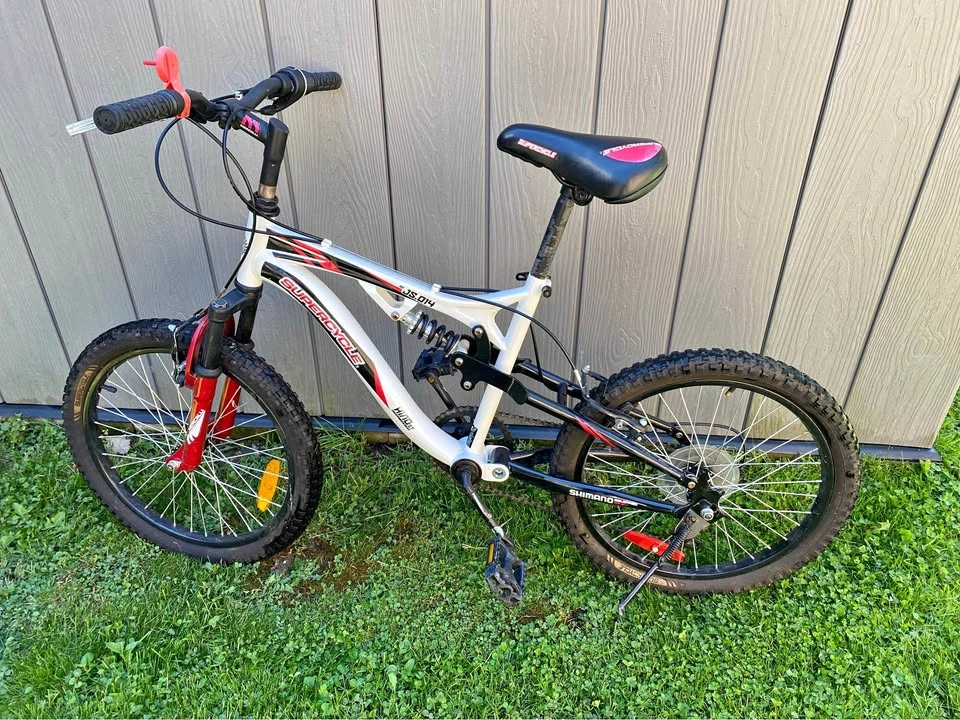 Supercycle Jumpstart Full Suspension Mountain Bike, 20-in