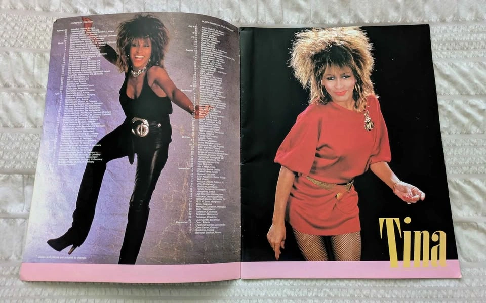 Tina Turner Private Dancer Tour Book 1985 - photo 3