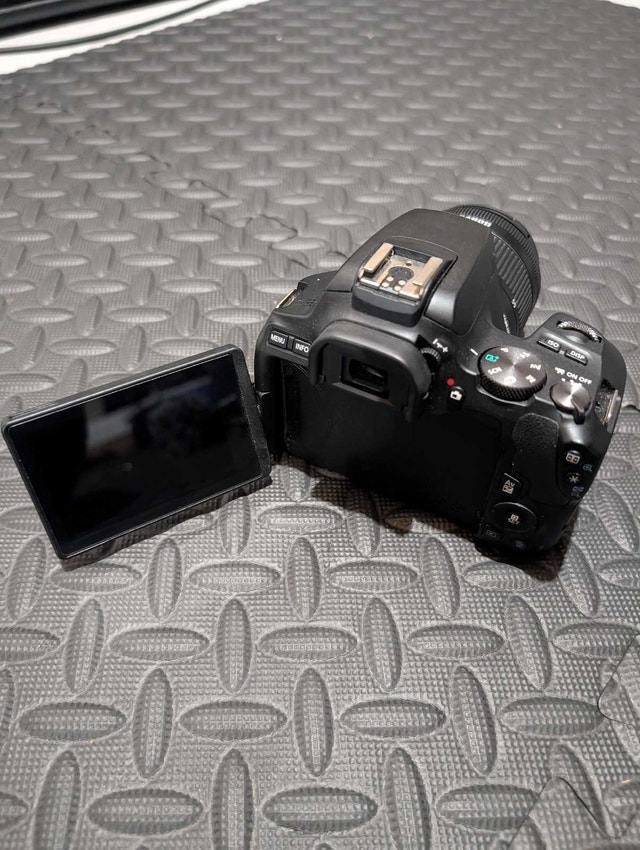Canon SL3 Content Creator Kit + Wide Angle Lens + Mics + Case - photo 2
