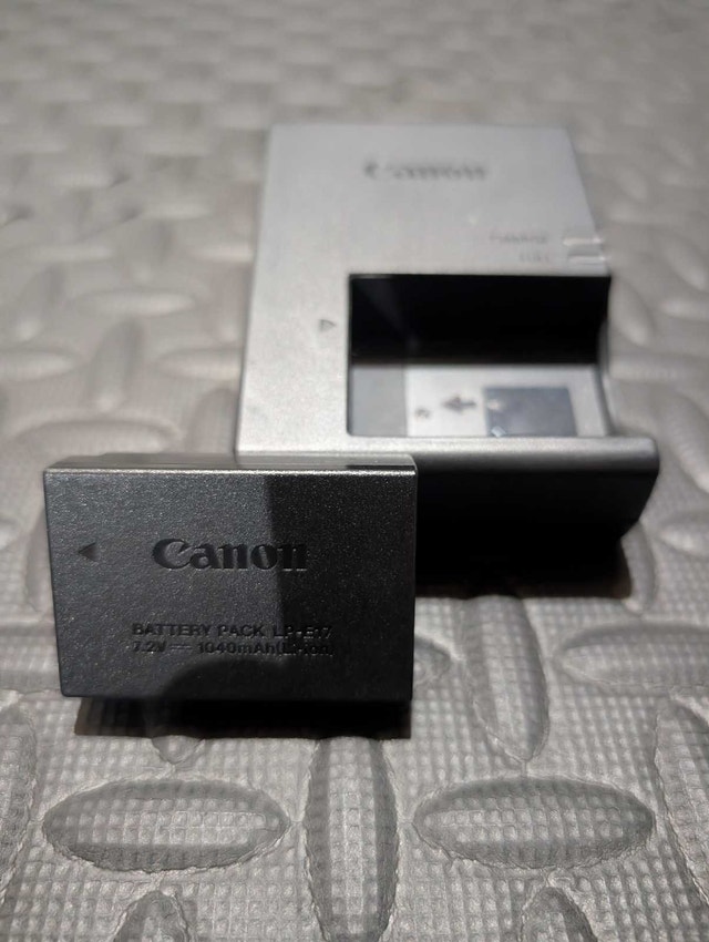 Canon SL3 Content Creator Kit + Wide Angle Lens + Mics + Case - photo 3