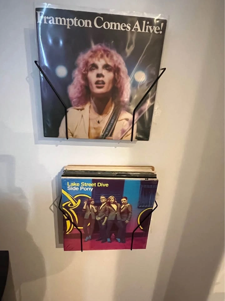 Vinyl holder/display