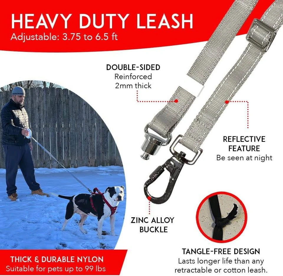 LED Dog Leash Adjustable Reflective Handsfree Poop Bag Dispenser - photo 4