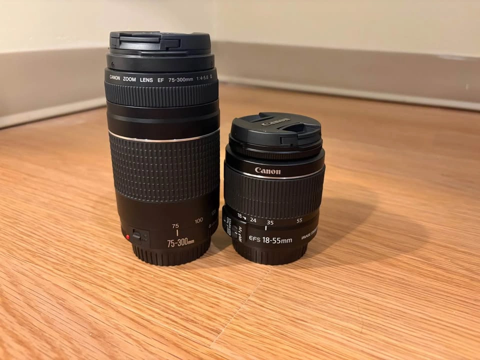 Canon EOS Rebel T7 - photo 3