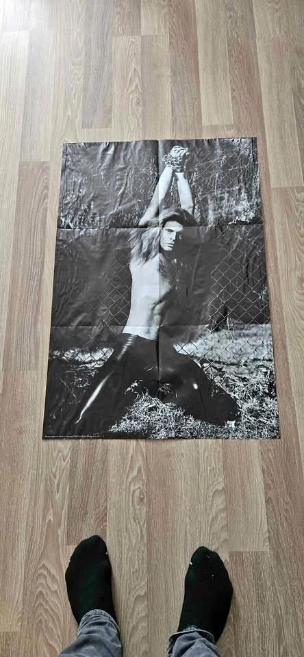 David Lee Roth vintage poster