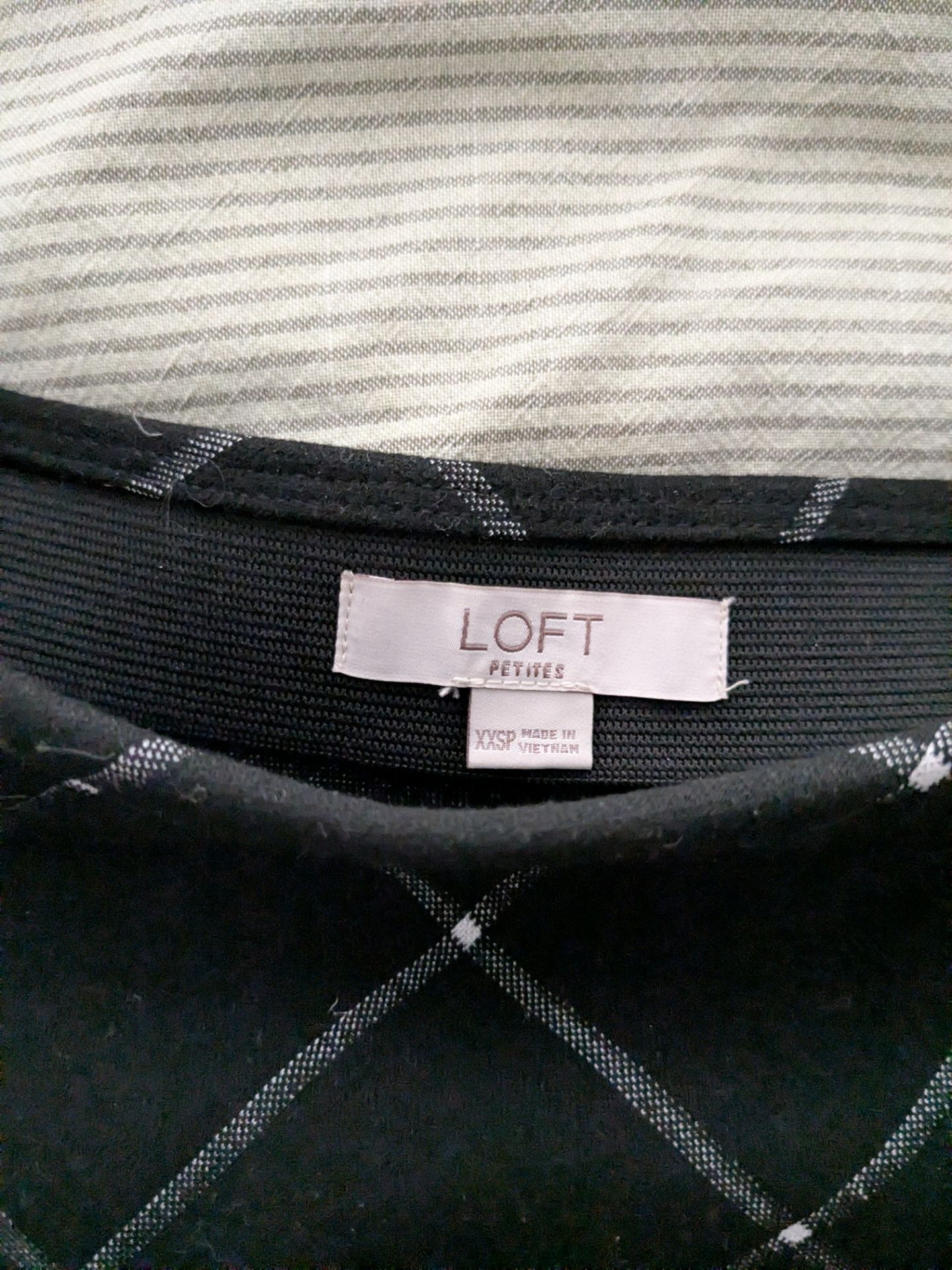 LOFT Skirt - photo 3