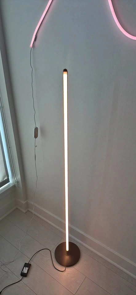 Govee RGBIC Floor Lamp