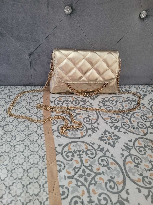 Aldo Purse (Brand new)