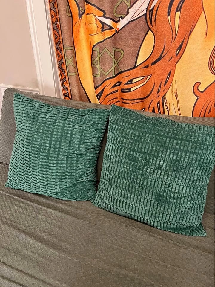 Pillow covers x2 for 26 in inserts