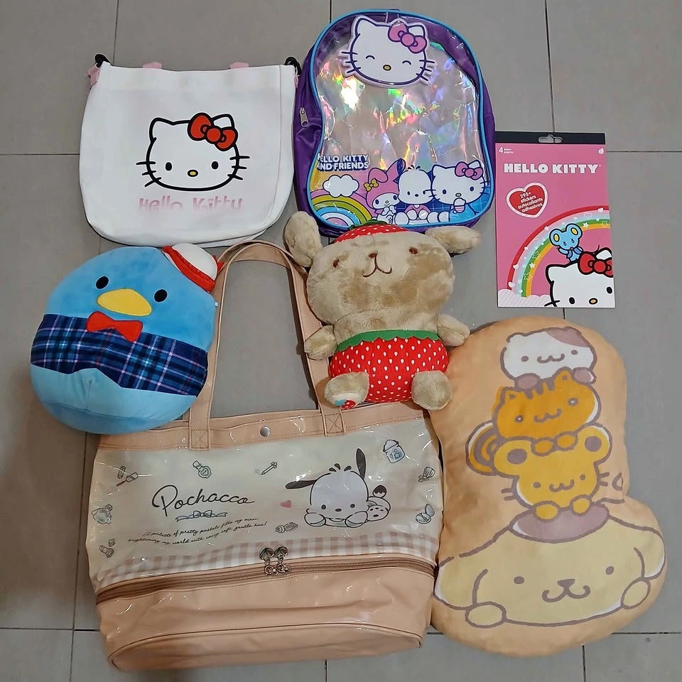 Sanrio Items Bundle