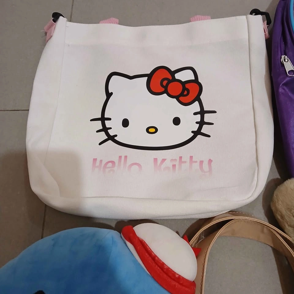 Sanrio Items Bundle - photo 2