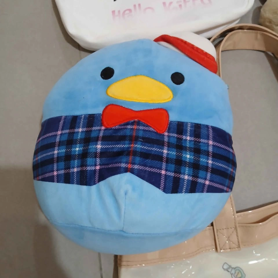 Sanrio Items Bundle - photo 3