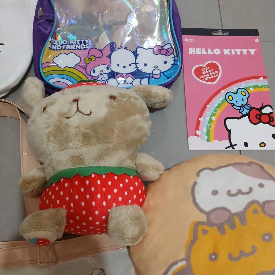 Sanrio Items Bundle - photo 5