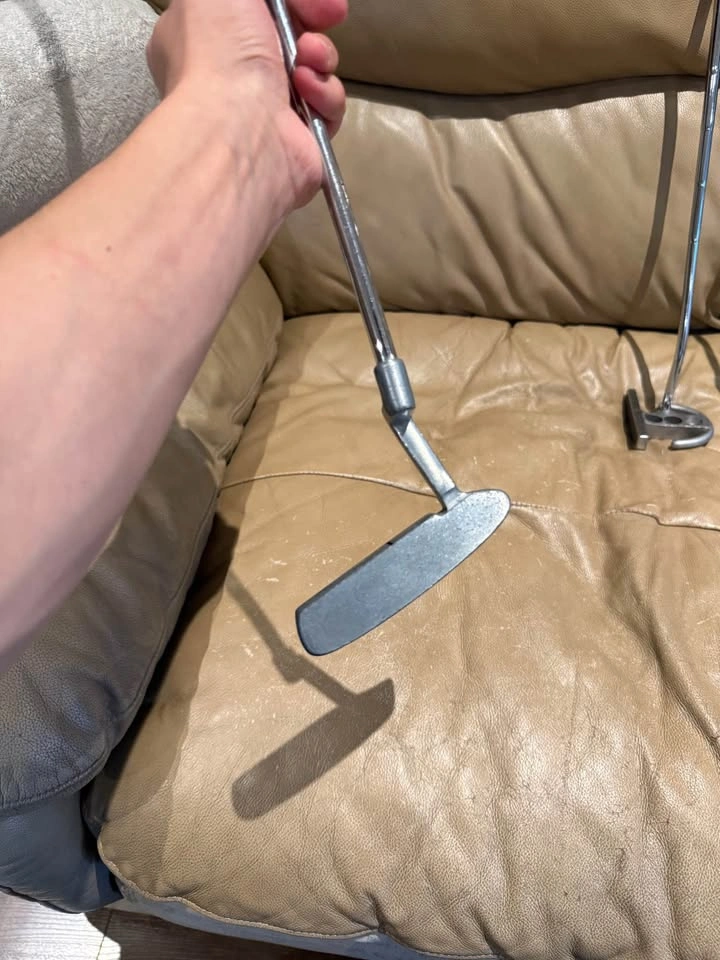 RH MDS SCIEX Golf Putter - photo 2