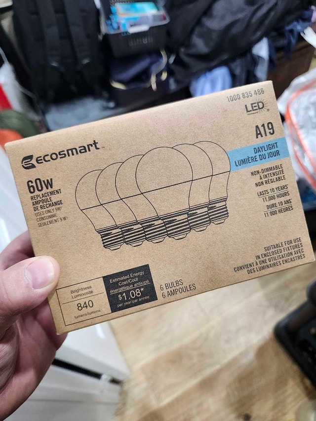 EcoSmart LED 60W Bulbs