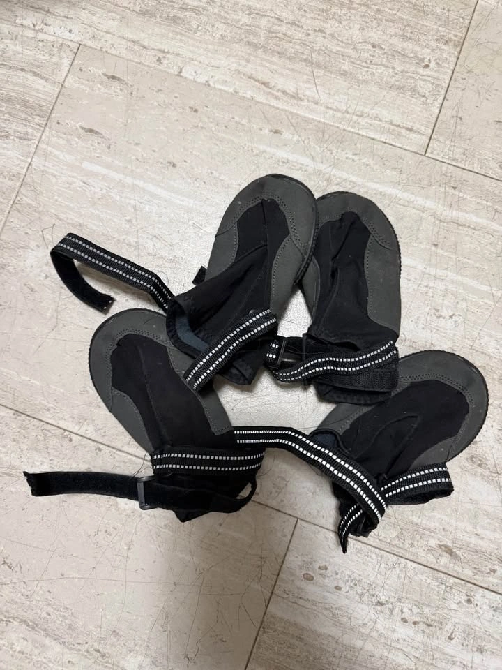Top Paw Dog Booties - photo 2