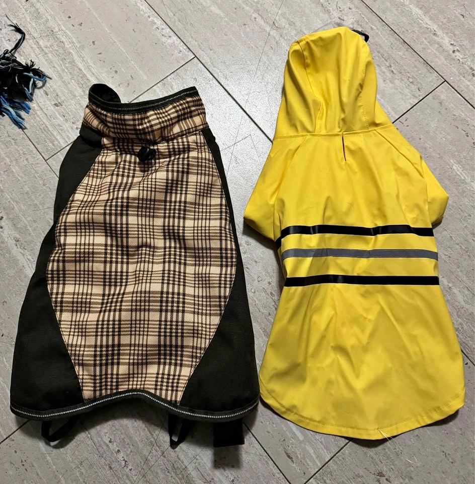 Dog clothes