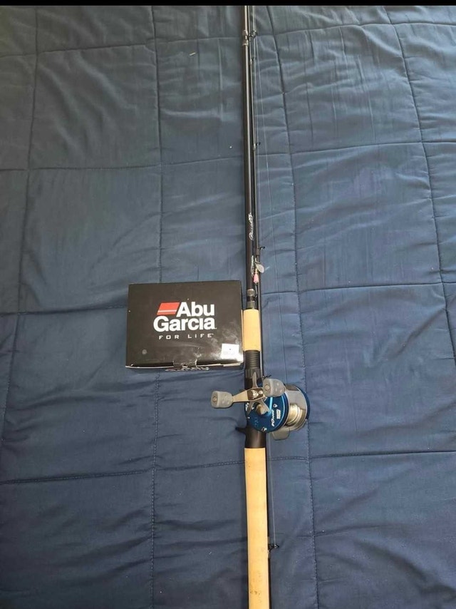 Abu Garcia 6601 C4 / Pflueger President XT 9' Rod - photo 3