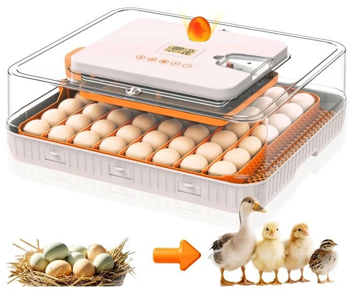 Incubator for Hatching Eggs