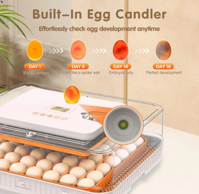 Incubator for Hatching Eggs - photo 2