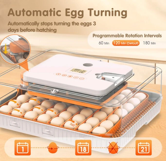 Incubator for Hatching Eggs - photo 3