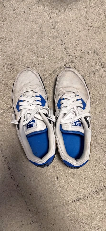 Nike Air Max 90 Sneakers with box