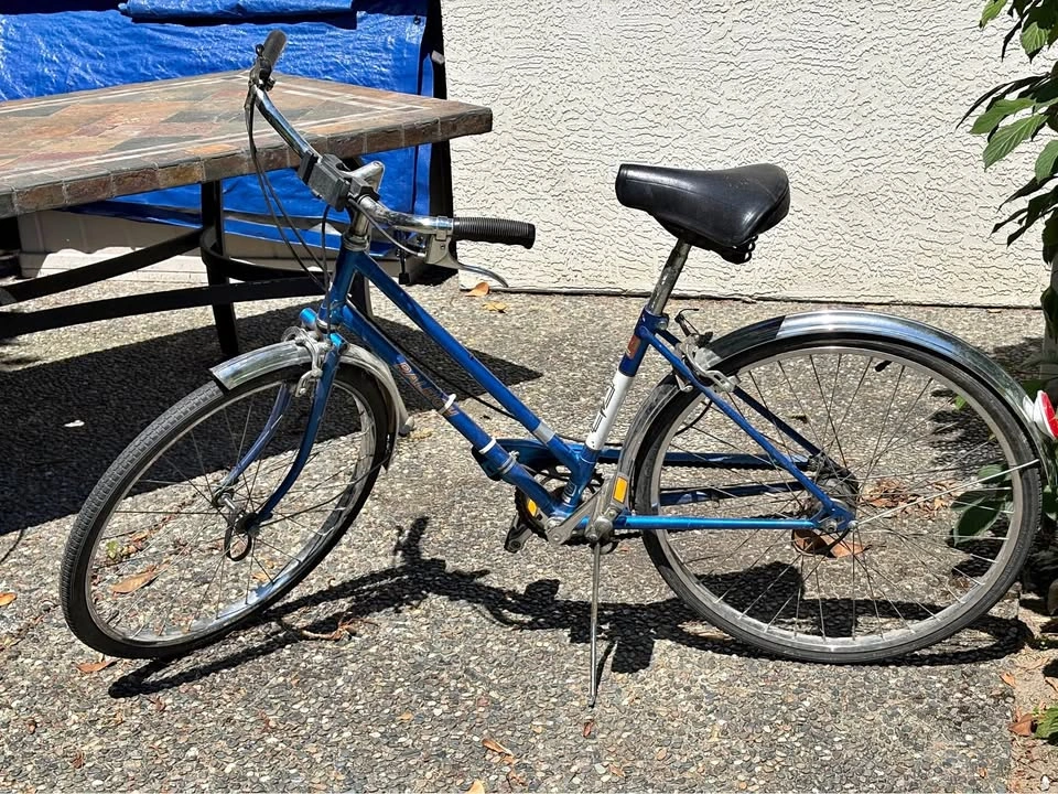 Blue Raleigh Transit bike