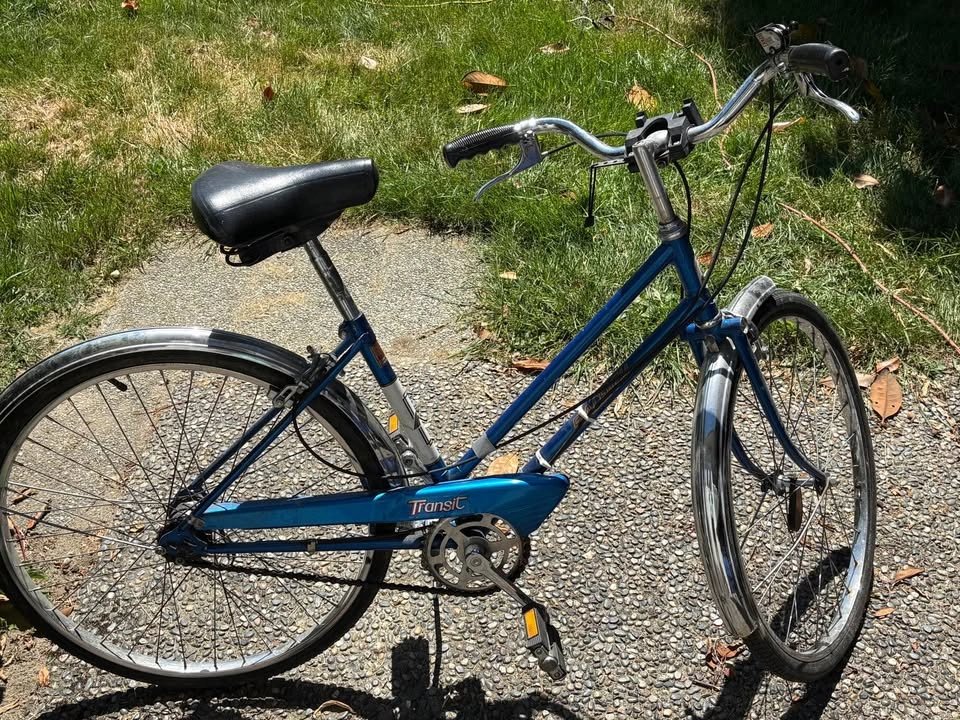Blue Raleigh Transit bike - photo 3