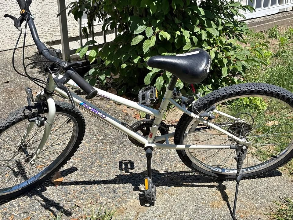 Norco Mini Cherokee Bike