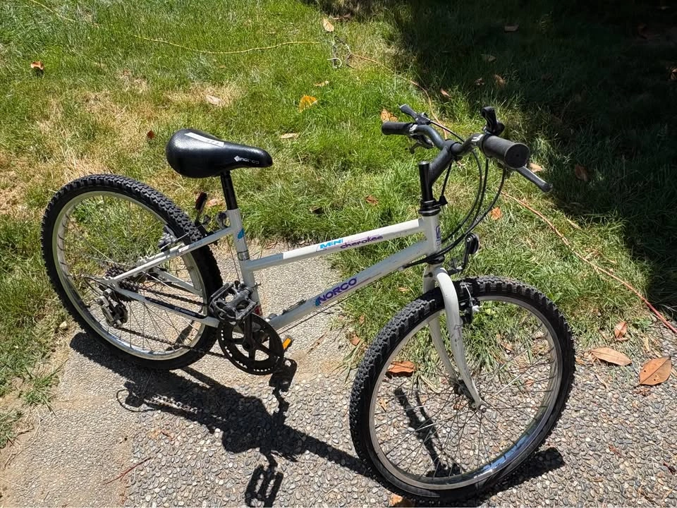 Norco Mini Cherokee Bike - photo 3