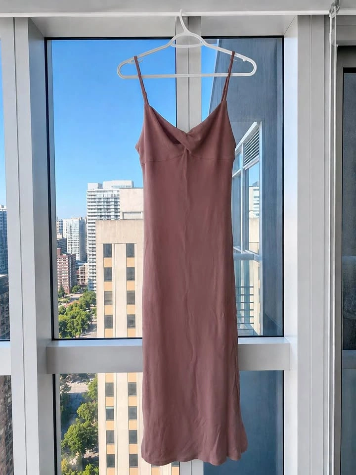 Aritzia Wilfred Meridian Dress in Petal Pink