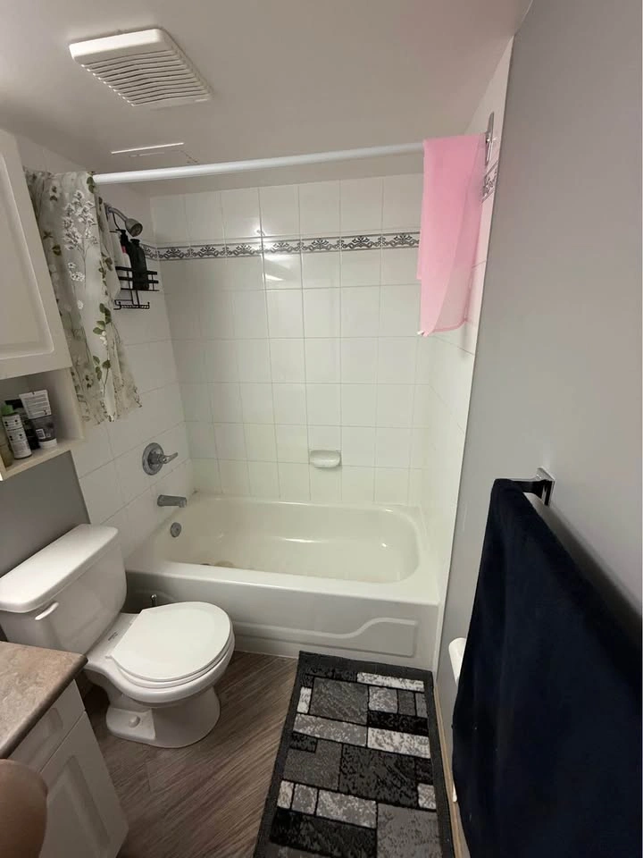 1 Bed 1 Bath - Apartment - photo 4