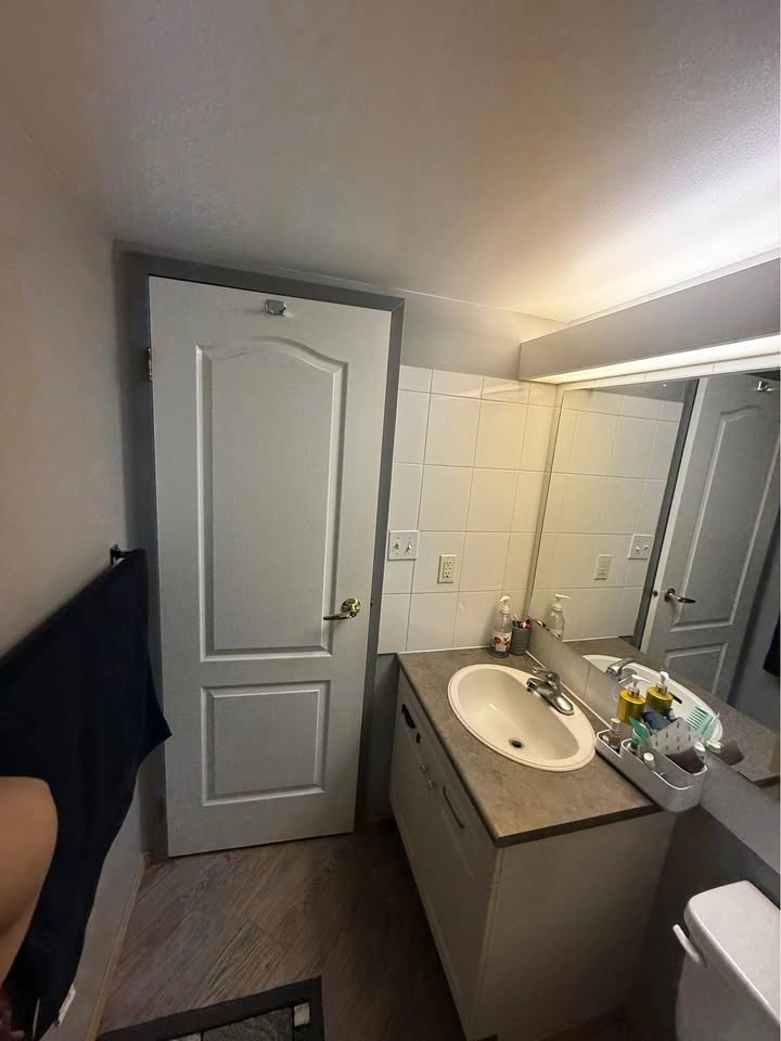 1 Bed 1 Bath - Apartment - photo 5